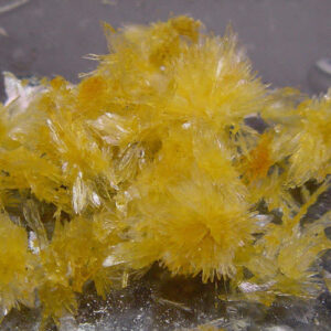 N-DMT Crystals